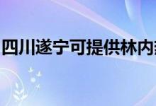 四川遂寧可提供林內(nèi)熱水器維修服務(wù)地址在哪