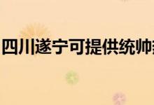 四川遂寧可提供統(tǒng)帥熱水器維修服務地址在哪