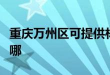 重慶萬(wàn)州區(qū)可提供林內(nèi)熱水器維修服務(wù)地址在哪