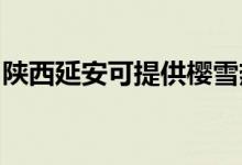 陜西延安可提供櫻雪熱水器維修服務地址在哪