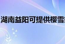 湖南益陽可提供櫻雪熱水器維修服務地址在哪