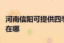 河南信陽可提供四季沐歌熱水器維修服務(wù)地址在哪
