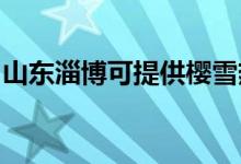 山東淄博可提供櫻雪熱水器維修服務地址在哪