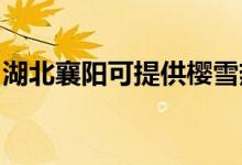 湖北襄陽可提供櫻雪熱水器維修服務地址在哪
