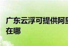 廣東云浮可提供阿里斯頓熱水器維修服務(wù)地址在哪