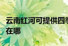云南紅河可提供四季沐歌熱水器維修服務地址在哪
