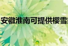 安徽淮南可提供櫻雪熱水器維修服務地址在哪