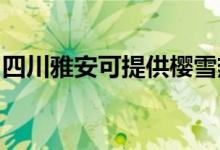 四川雅安可提供櫻雪熱水器維修服務地址在哪