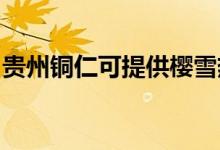 貴州銅仁可提供櫻雪熱水器維修服務地址在哪