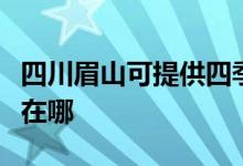 四川眉山可提供四季沐歌熱水器維修服務地址在哪