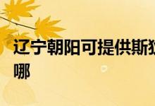 遼寧朝陽(yáng)可提供斯狄渢熱水器維修服務(wù)地址在哪