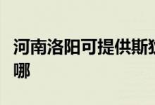 河南洛陽(yáng)可提供斯狄渢熱水器維修服務(wù)地址在哪