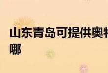 山東青島可提供奧特朗熱水器維修服務地址在哪
