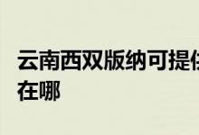云南西雙版納可提供申花熱水器維修服務地址在哪