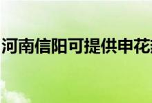 河南信陽可提供申花熱水器維修服務地址在哪