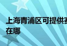 上海青浦區(qū)可提供賽德隆熱水器維修服務地址在哪