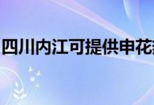 四川內江可提供申花熱水器維修服務地址在哪