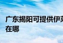 廣東揭陽可提供伊萊克斯熱水器維修服務地址在哪