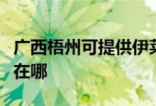 廣西梧州可提供伊萊克斯熱水器維修服務地址在哪