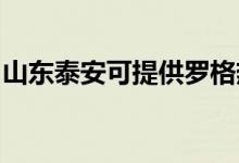 山東泰安可提供羅格熱水器維修服務地址在哪