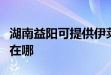湖南益陽可提供伊萊克斯熱水器維修服務地址在哪