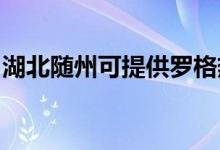 湖北隨州可提供羅格熱水器維修服務地址在哪