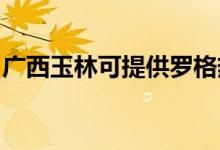 廣西玉林可提供羅格熱水器維修服務地址在哪