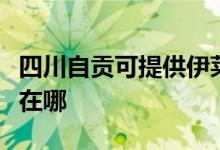 四川自貢可提供伊萊克斯熱水器維修服務地址在哪