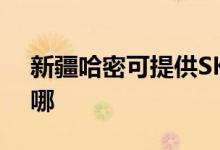 新疆哈密可提供SKG電水壺維修服務地址在哪
