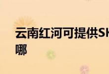云南紅河可提供SKG電水壺維修服務地址在哪