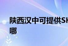 陜西漢中可提供SKG電水壺維修服務地址在哪