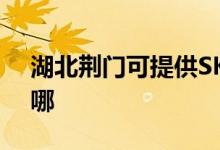 湖北荊門可提供SKG電水壺維修服務地址在哪