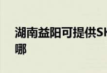 湖南益陽可提供SKG電水壺維修服務地址在哪
