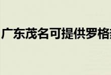 廣東茂名可提供羅格熱水器維修服務地址在哪