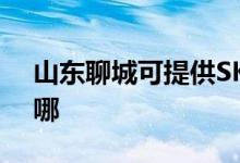 山東聊城可提供SKG電水壺維修服務地址在哪