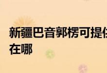 新疆巴音郭楞可提供萊克豆?jié){機(jī)維修服務(wù)地址在哪