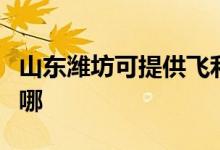 山東濰坊可提供飛利浦咖啡機(jī)維修服務(wù)地址在哪