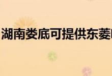 湖南婁底可提供東菱咖啡機維修服務(wù)地址在哪