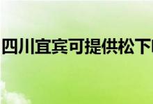四川宜賓可提供松下咖啡機維修服務(wù)地址在哪