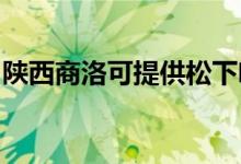 陜西商洛可提供松下咖啡機維修服務(wù)地址在哪