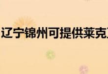 遼寧錦州可提供萊克豆?jié){機(jī)維修服務(wù)地址在哪