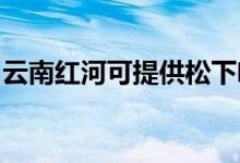 云南紅河可提供松下咖啡機維修服務(wù)地址在哪