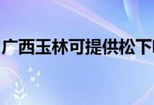 廣西玉林可提供松下咖啡機(jī)維修服務(wù)地址在哪