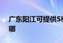 廣東陽(yáng)江可提供SKG咖啡機(jī)維修服務(wù)地址在哪