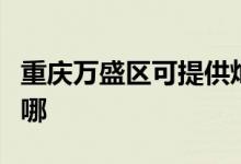 重慶萬(wàn)盛區(qū)可提供燦坤電烤箱維修服務(wù)地址在哪
