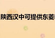 陜西漢中可提供東菱電烤箱維修服務(wù)地址在哪