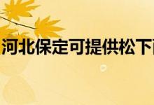 河北保定可提供松下面包機(jī)維修服務(wù)地址在哪