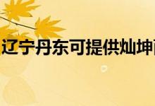 遼寧丹東可提供燦坤面包機(jī)維修服務(wù)地址在哪