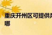 重慶開(kāi)州區(qū)可提供奔騰加濕器維修服務(wù)地址在哪