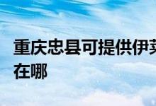 重慶忠縣可提供伊萊克斯面包機(jī)維修服務(wù)地址在哪